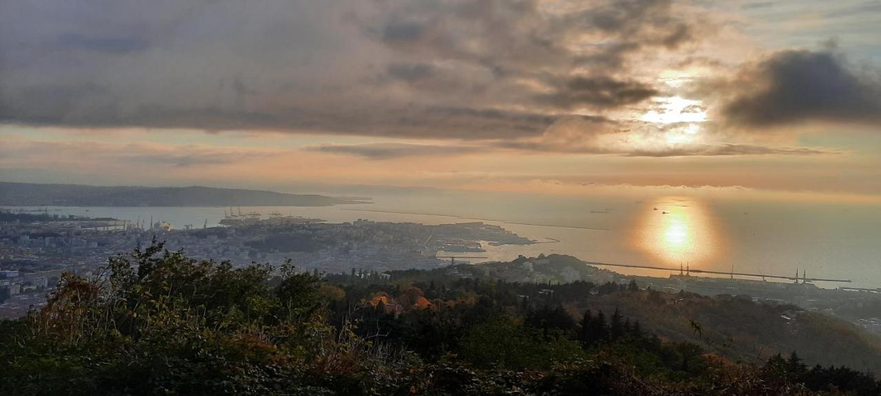 Da Noi Bed & Breakfast Trieste Dış mekan fotoğraf
